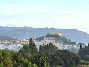 Neues Gesetz_ Schwarzbauten