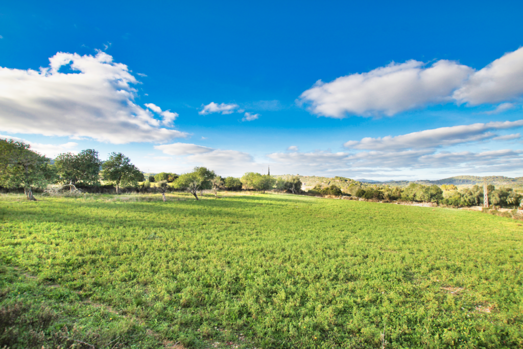 Grundstücke Mallorca G & P Immobilien Mallorca